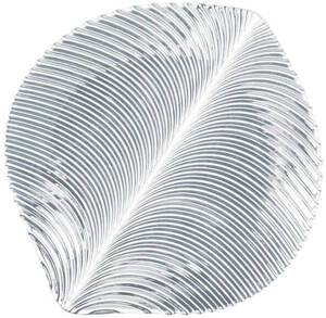 Kryształowy talerz obiadowy