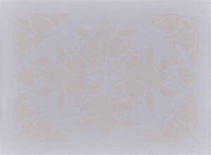 Mata plamoodporna 50x36cm