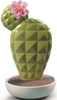 Dyfuzor zapachowy Cactus. Tropikalne kwiaty