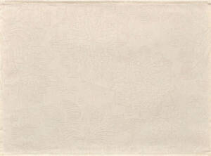 Mata plamoodporna 52x38