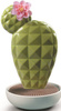 Dyfuzor zapachowy Cactus. Tropikalne kwiaty