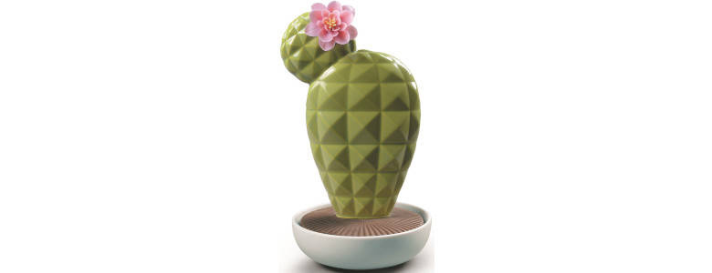 Dyfuzor zapachowy Cactus. Tropikalne kwiaty