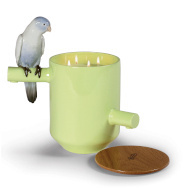 Świeca Skarb Papugi Zielona