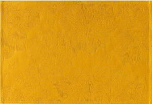 Mata plamoodporna 52x38