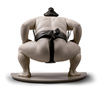 Wojownicy sumo