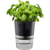 Doniczka do ziół "BOTANICO"