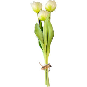 Bukiet tulipanów białych