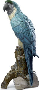 Figurka Papuga Ara 