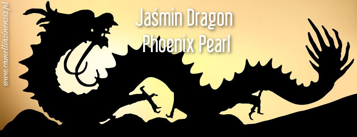 Chińska Jaśmin Dragon Phoenix Pearl BIO RARYTAS