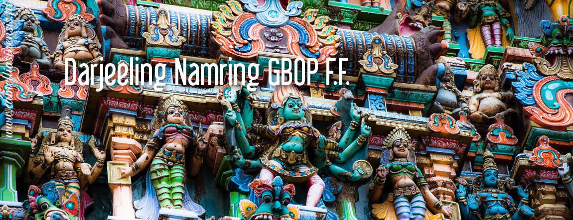 Darjeeling Namring GBOP f.f.