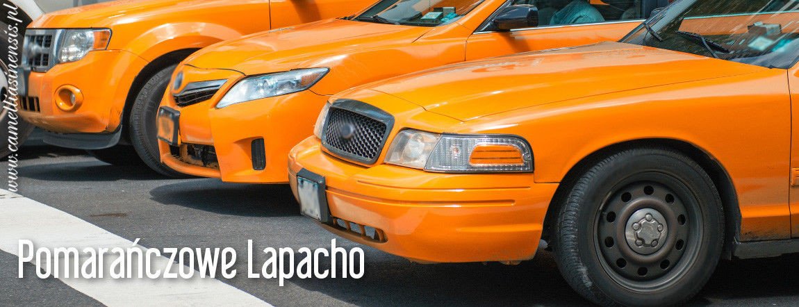Pomarańczowe Lapacho