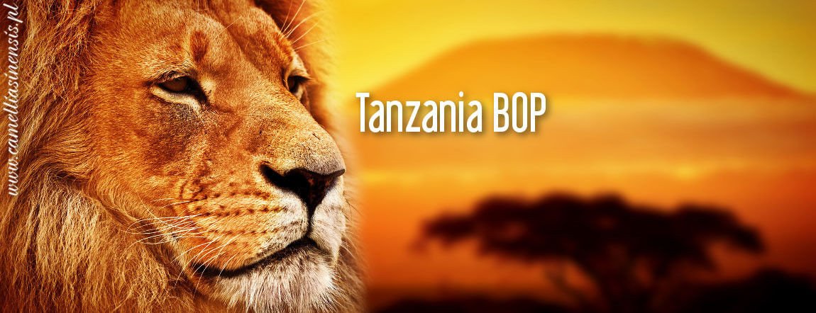 Tanzania BOP